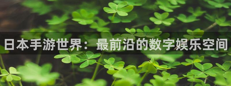 28大神怎么用不了：日本手游世界：最前沿的数字娱乐空间
