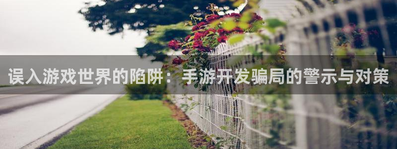 28大神预测安卓下载：误入游戏世界的陷阱：手游开发骗局的警示