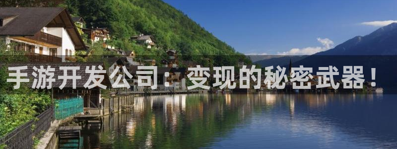 大神吧论坛28算法注册：手游开发公司：变现的秘密武器！