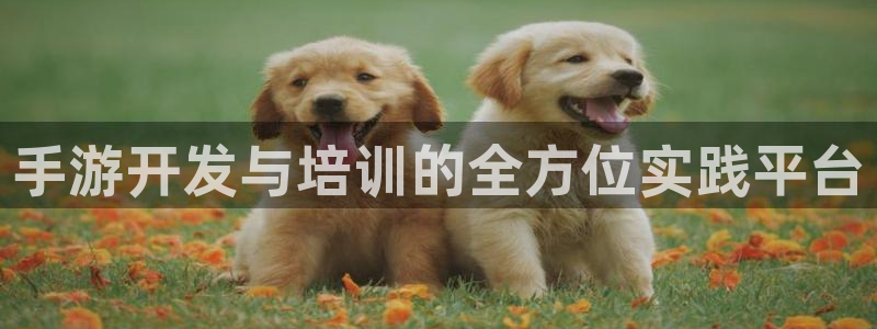 28大神app下载苹果：手游开发与培训的全方位实践平台