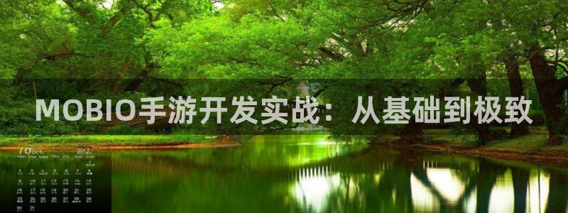 pc大神28历史：MOBIO手游开发实战：从基础到极致