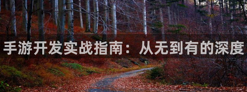 28大神怎么找不到了：手游开发实战指南：从无到有的深度