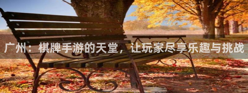 大神28官方网站：广州：棋牌手游的天堂，让玩家尽享乐趣与挑战
