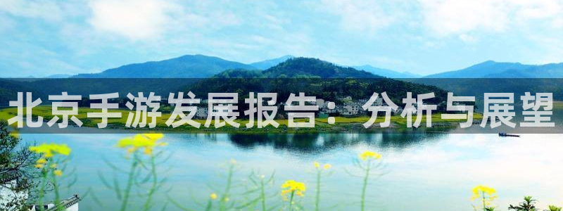 大神28官网：北京手游发展报告：分析与展望