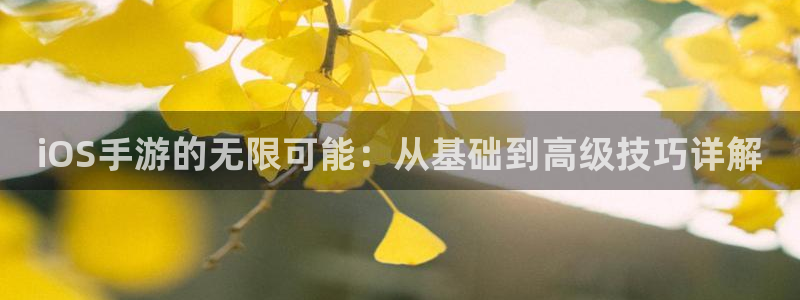 大神吧28注册：iOS手游的无限可能：从基础到高级技巧详解