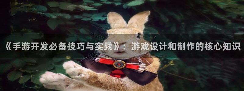大神pc28在线预测：《手游开发必备技巧与实践》：游戏设计和